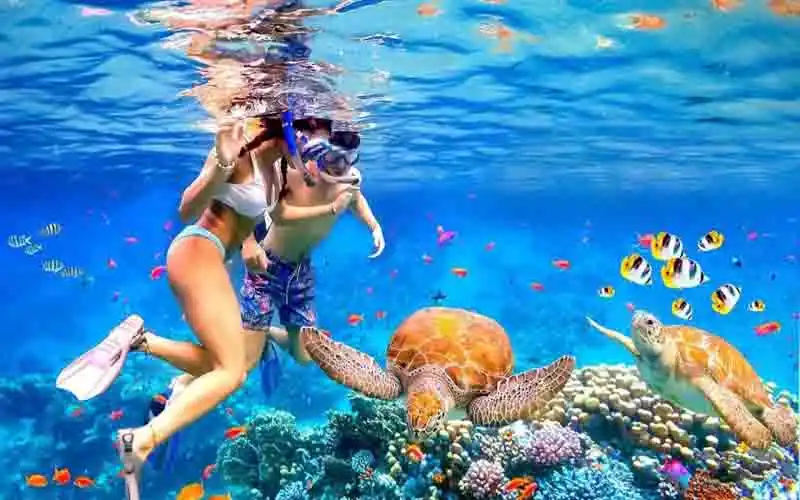 snorkeling snorkeling